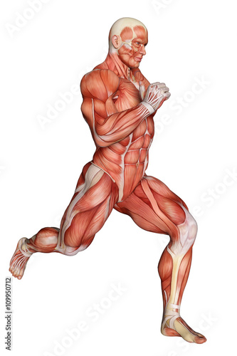 muscle man healthcare and medical © DM7