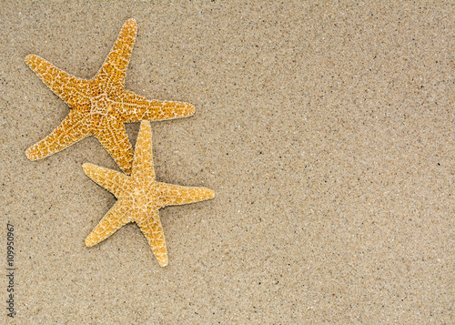 Dos estrellas de mar sobre fondo de arena en una playa, con espacio publicitario