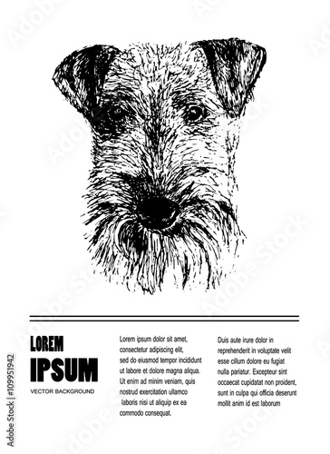 Airedale Terrier Dog