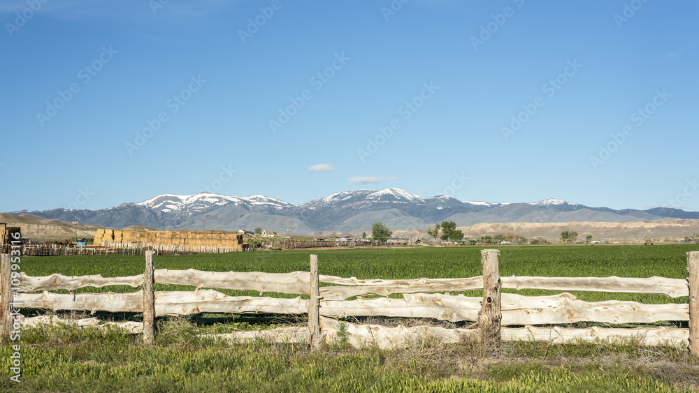 Custom wood fence and snow covered Idaho mountains