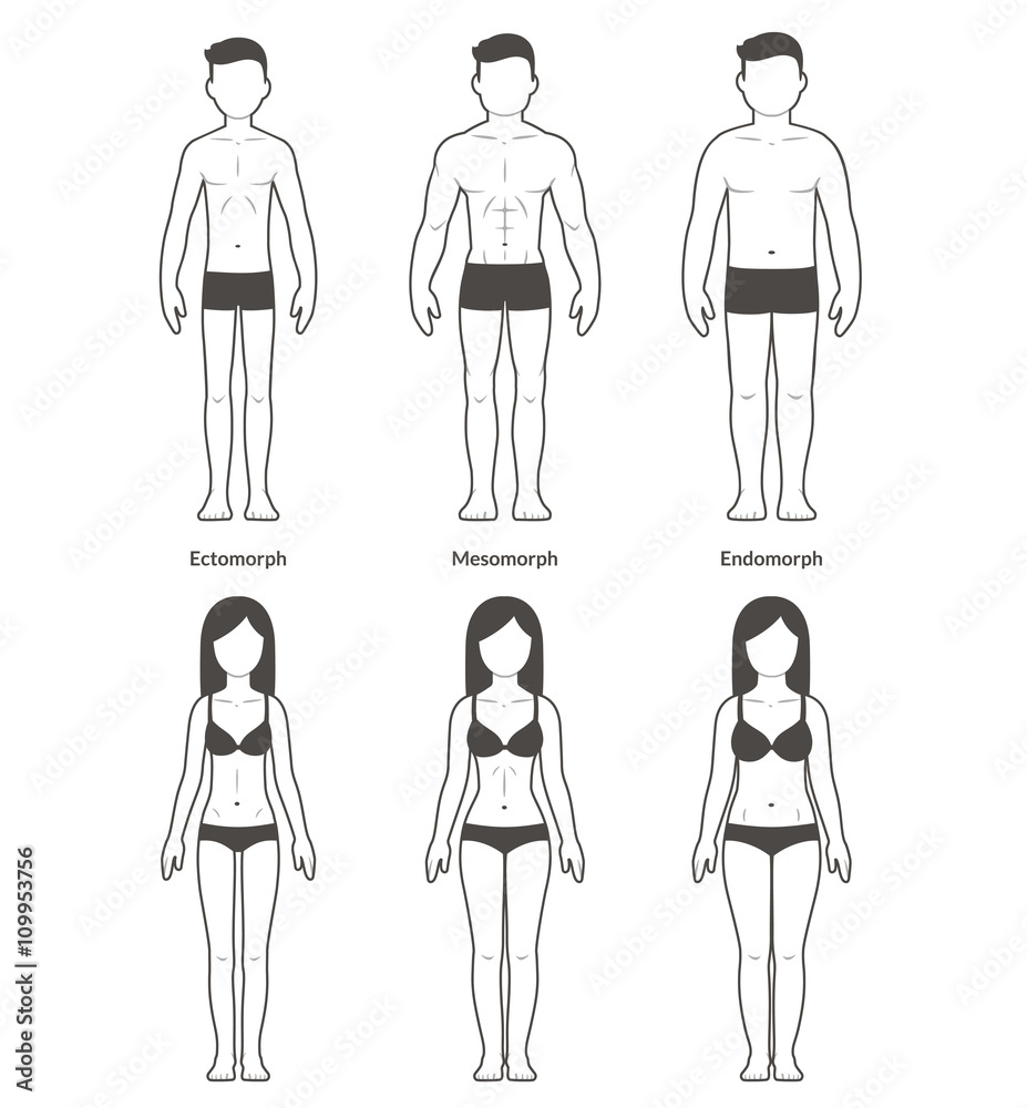 Male and female body types Stock Vector | Adobe Stock