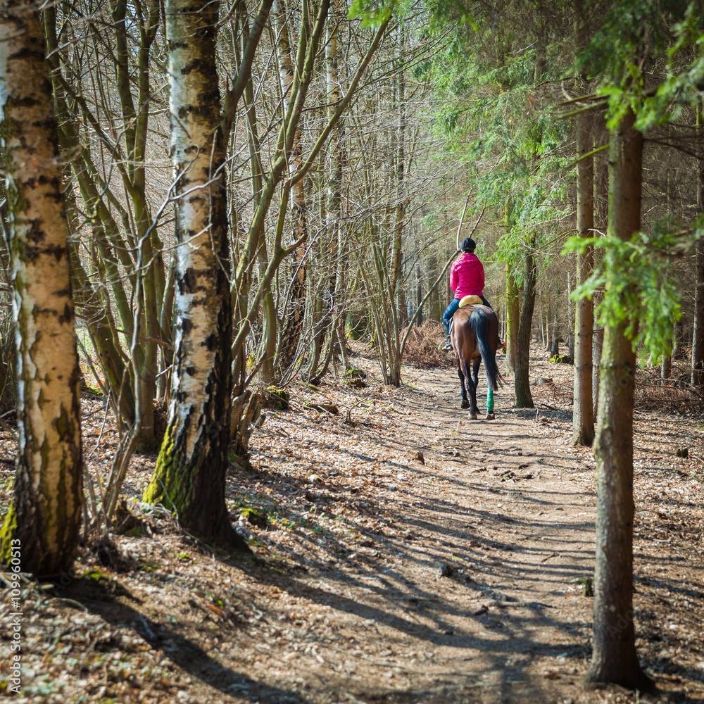 The girl riding a horse for forest trail in the spring The girl riding a horse for forest trail in the spring