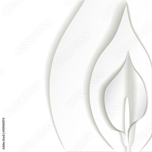 White background with white calla flower cut out of paper at the