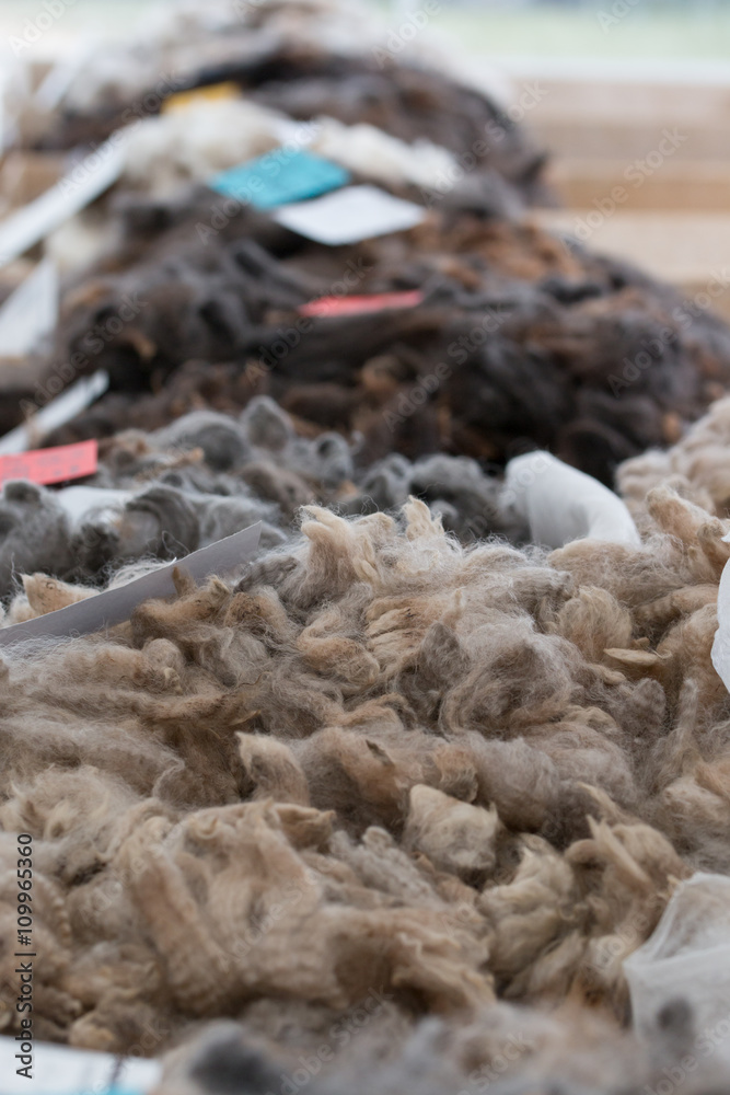 Piles of high quality merino wool Piles of high quality merino wool
