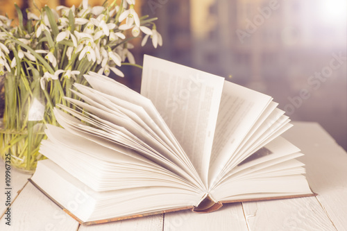 flower on the book in front of the window in the morning. Copy space for text.