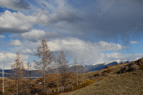 beautiful Altai mountains Kurai steppe in the spring against the blue sky at the end of April, beginning of May, pleasing to the eye white, blue, gray, golden, green nature