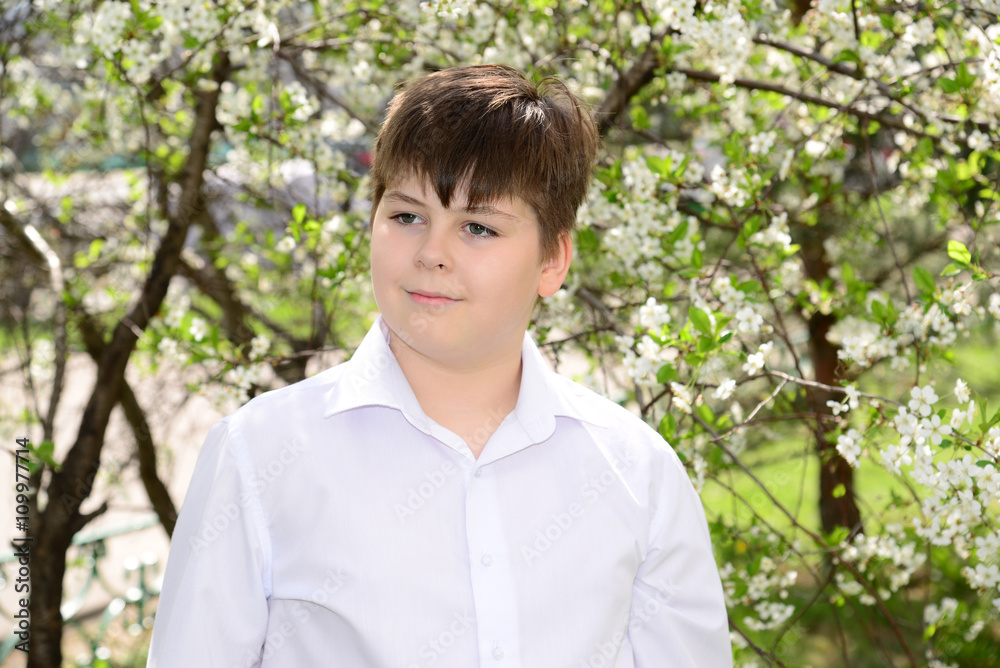 Portrait of a boy teenager on a background of flowering cherries Portrait of a boy teenager on a background of flowering cherries
