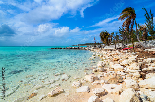Stone beach with palms on the island Eleuthera on the Bahamas