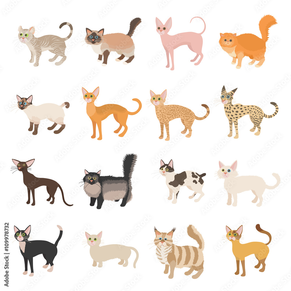 Cat icons set, cartoon style Cat icons set, cartoon style