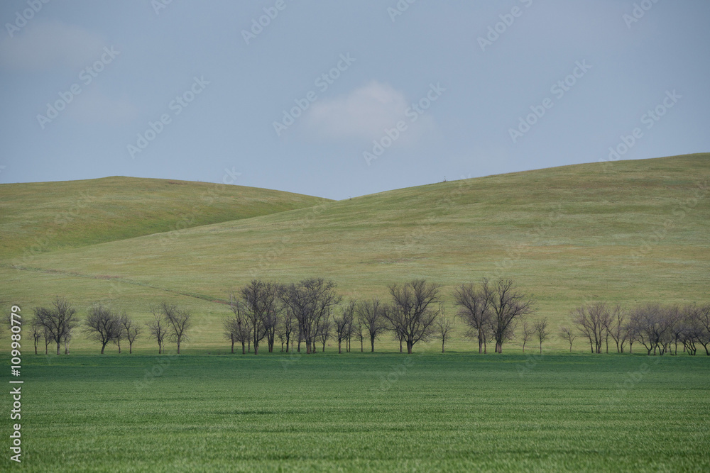 Beautiful picturesque spring landscape with green steppe