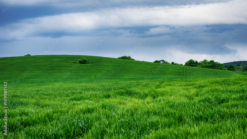 Green field, near Marinka village, Bulgaria