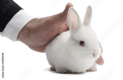 Male Hand Pets Rabbit