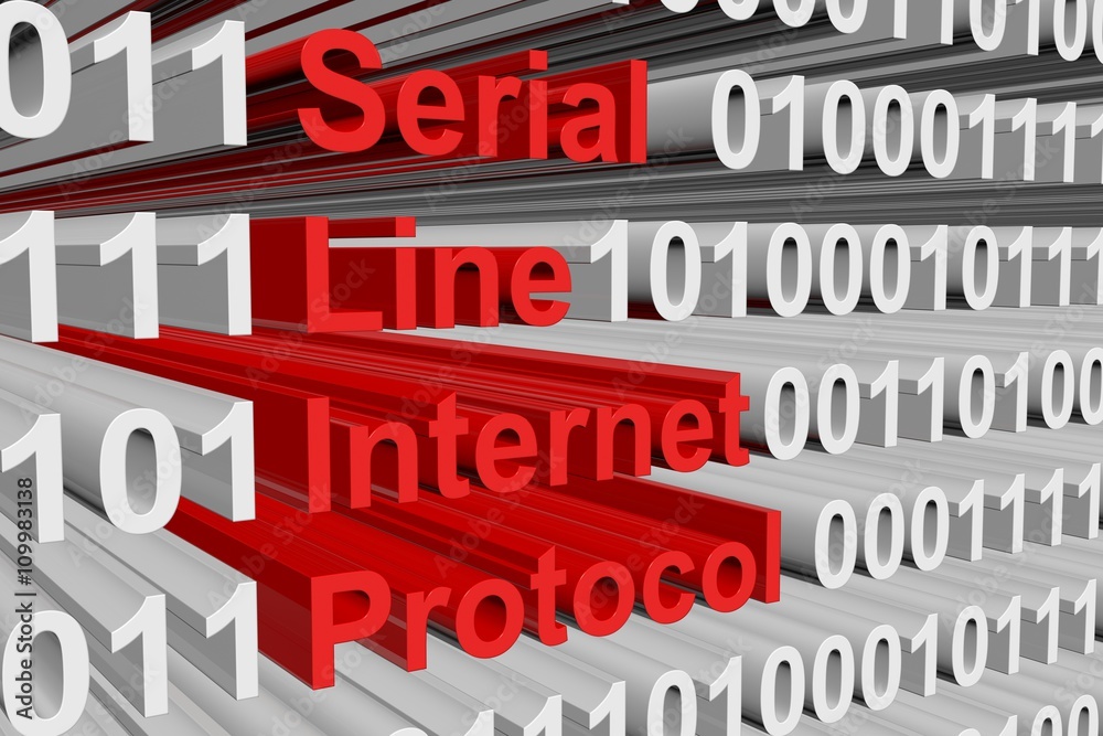 Obraz premium Serial Line Internet Protocol in the form of binary code, 3D illustration