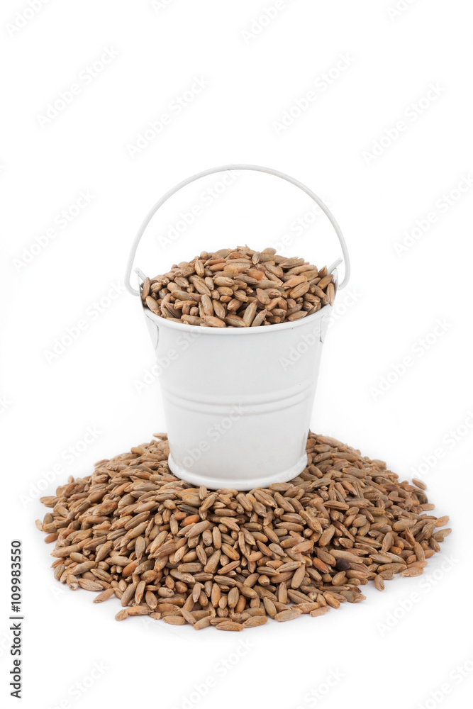 White bucket full of rye, stands on a heap rye White bucket full of rye, stands on a heap rye