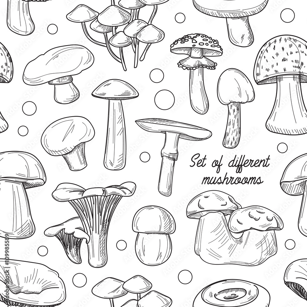 Set of different mushrooms pattern Set of different mushrooms pattern