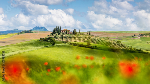 Blühende Landschaften in der Toskana