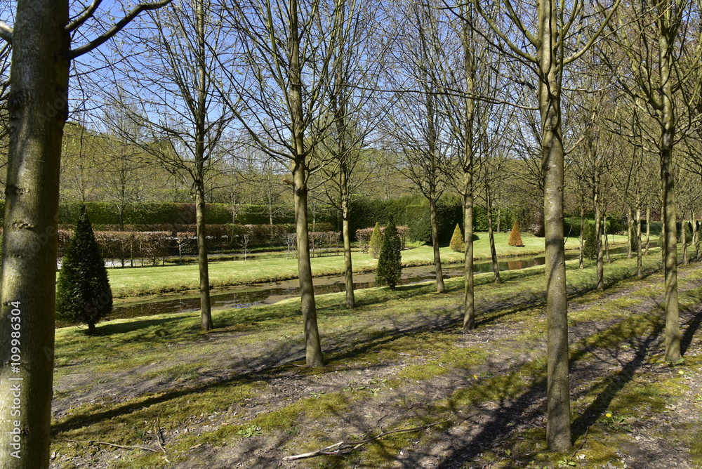 Fototapeta premium L'alignement des arbres de la petite forêt au long du canal inférieur aux Jardins d'Eau d'Annevoie 
