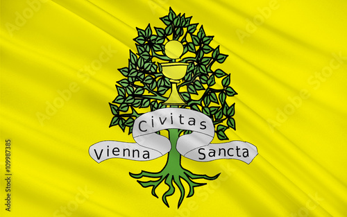 Flag of Vienne, France photo