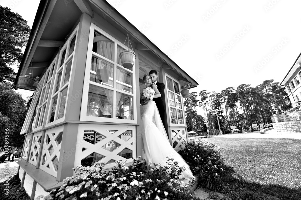 Wedding couple on the nature is hugging each other. Beautiful model girl in white dress. Man in suit. Beauty bride with groom. Female and male portrait. Woman with lace veil. Lady and guy outdoors Wedding couple on the nature is hugging each other. Beautiful model girl in white dress. Man in suit. Beauty bride with groom. Female and male portrait. Woman with lace veil. Lady and guy outdoors