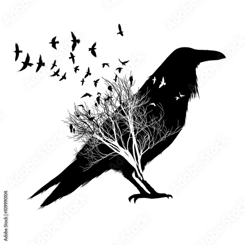 Crow silhouette, with double exposure effect of flying birds and trees on background