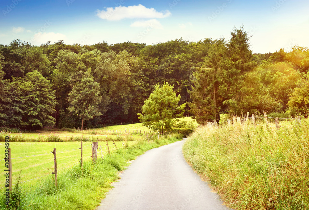 Idyllic country road in the sunset, with copy space and forest. Single lane road through fields and pastures, nature background. Idyllic country road in the sunset, with copy space and forest. Single lane road through fields and pastures, nature background.