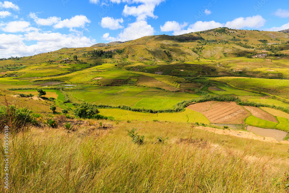 Landscape with rice fields in central Madagascar