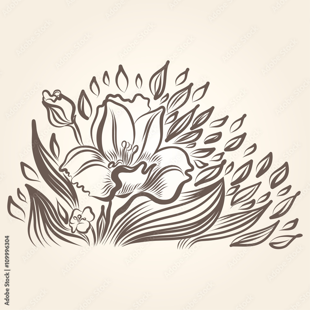 Drawing of beautiful narcissus flower.