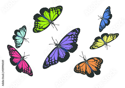 illustration butterflies design isolated with white © nicholashan