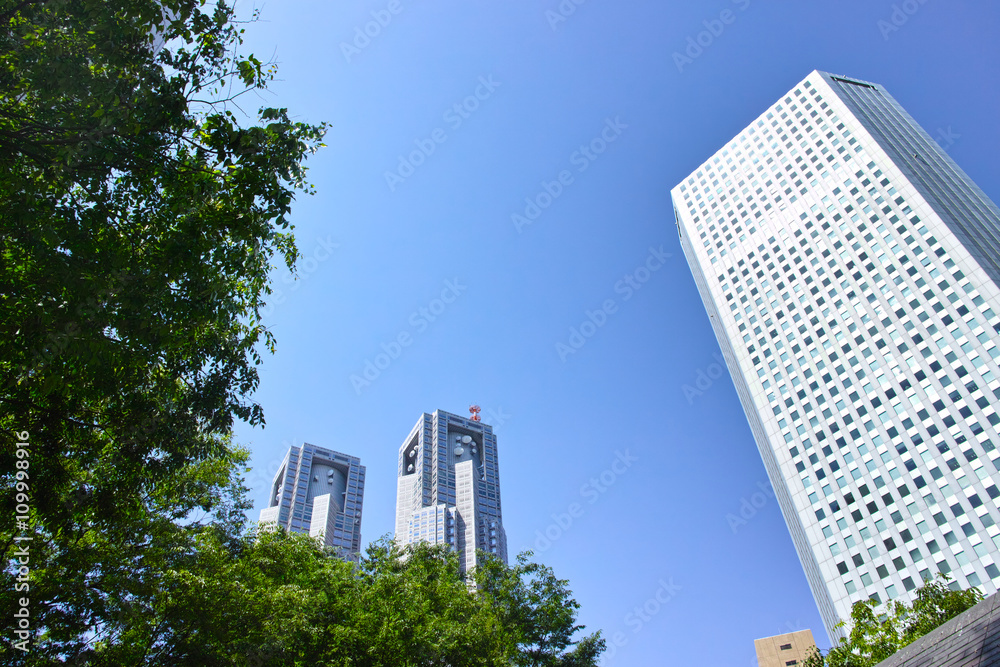 Obraz premium 新緑と東京都庁ビル