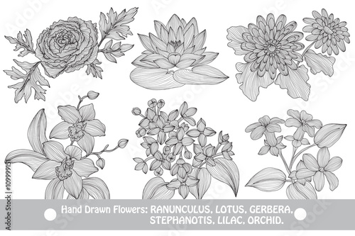 decorative flowers set