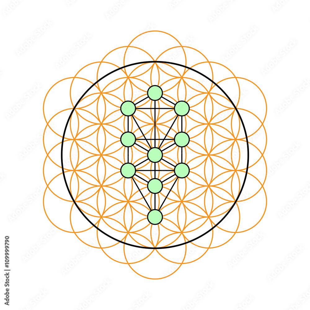 Sacred geometry. Tree of life in a Flower of life Stock Vector Adobe Stock
