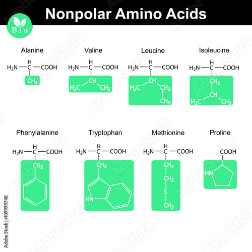 Amino acids with marked radicals, nonpolar group photo