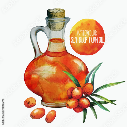 Watercolor sea buckthorn oil jar and berries 