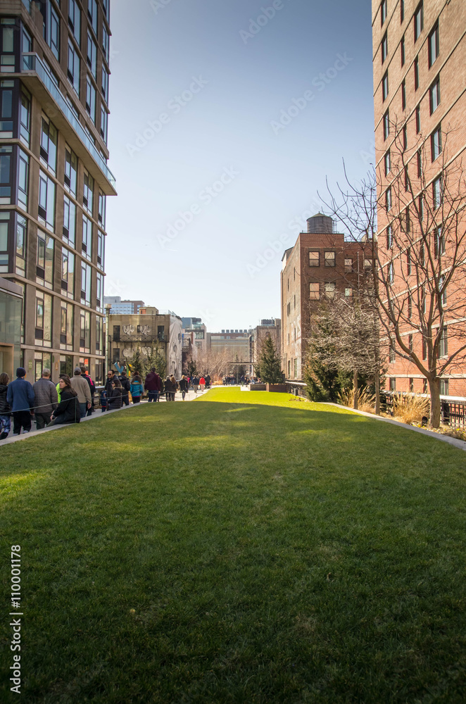 Fototapeta premium New York Green Line