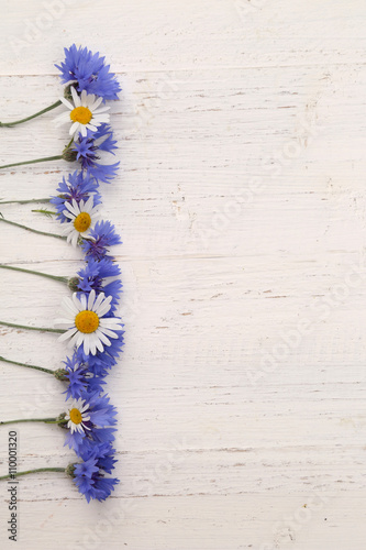 Fototapeta Naklejka Na Ścianę i Meble -  Kornblumen u. Gänseblumen