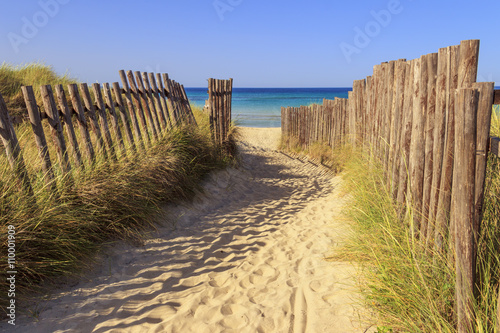 The Regional Natural Park Dune Costiere  Torre Canne   fence between sea dunes. BRINDISI  Apulia -ITALY- The park covers the territories of Ostuni and Fasano along eight kilometers of coastline.