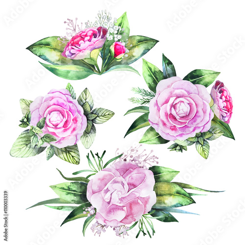 Watercolor camellia vignettes