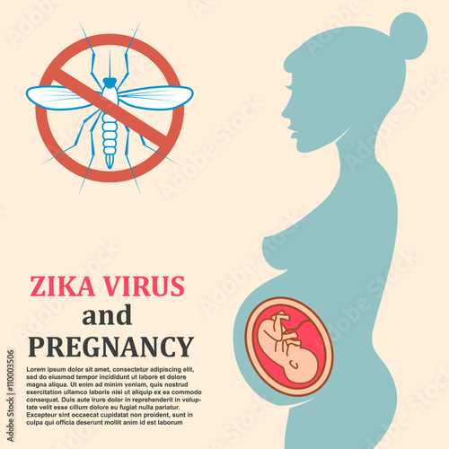 Danger for pregnant.  Moskit with phrase "Zika virus". Zika viru