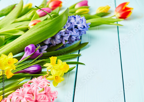 Fototapeta Naklejka Na Ścianę i Meble -  Narcissus, crocus, hyacinths and tulips