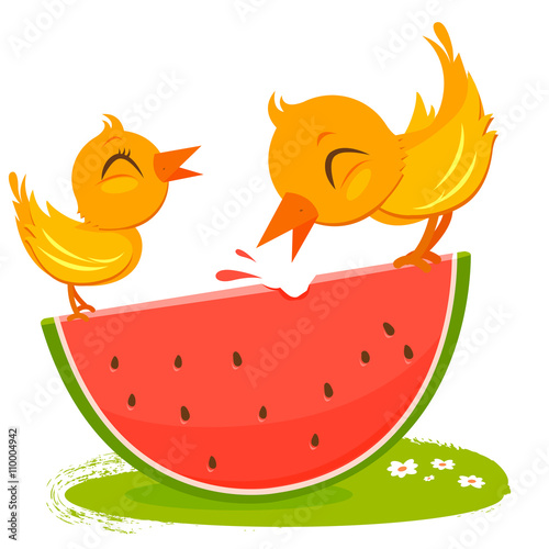 Birds eating a slice of watermelon fruit. Vector illustration