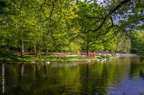 Beautiful lake with green trees, Keukenhof Park, Lisse in Holland