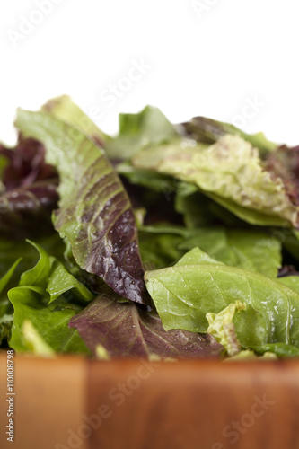 red and green lettuce on the bowl
