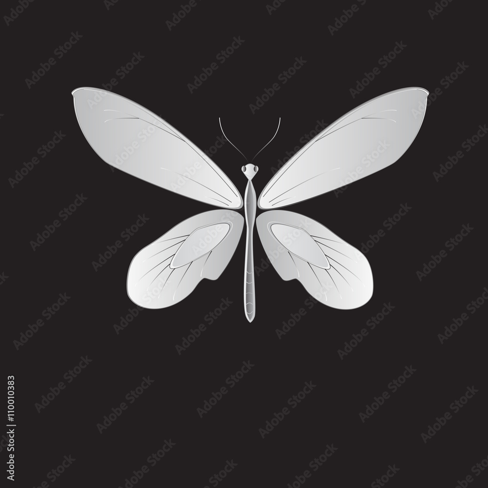 metal butterfly, Vector illustration. metal butterfly, Vector illustration.
