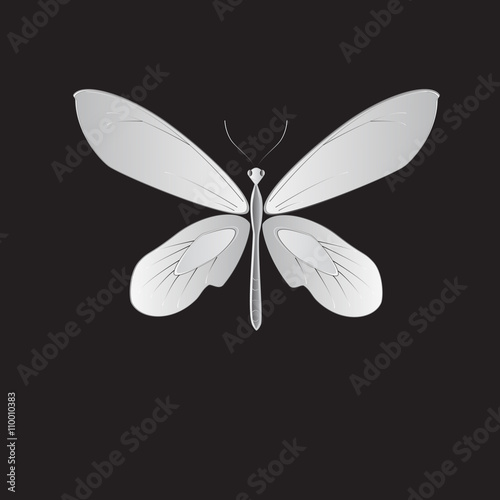 Photo metal butterfly, Vector illustration.