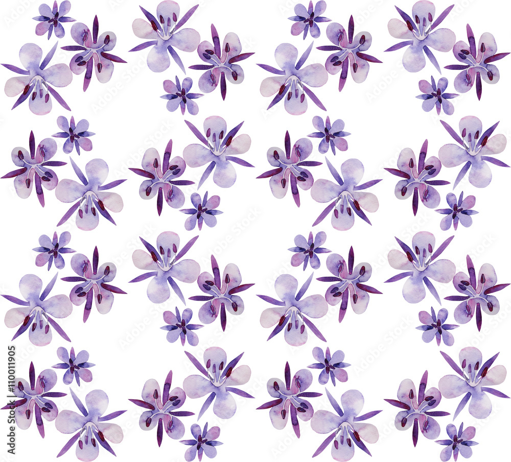Watercolor willow-herb pattern Watercolor willow-herb pattern