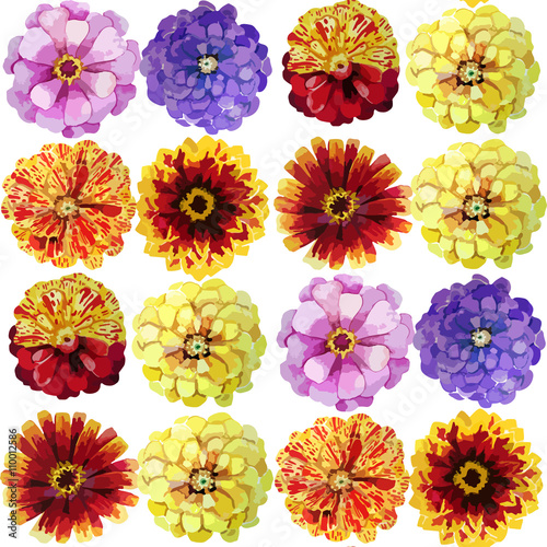 Billede på lærred Watercolor zinnia pattern