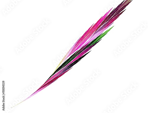 abstract decorative feathers