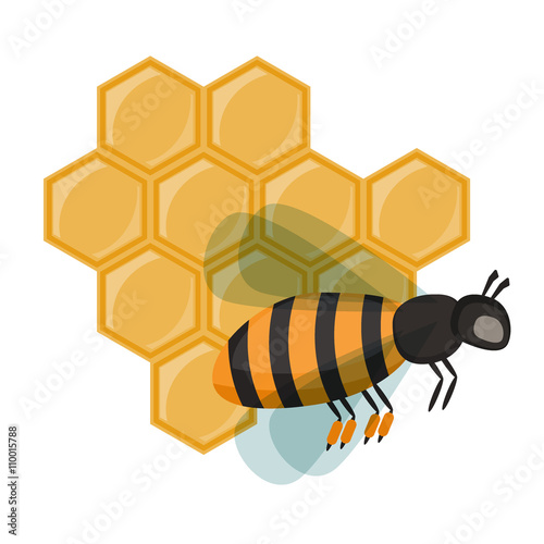 Fototapeta Naklejka Na Ścianę i Meble -  Insect honey bee isolated on white vector.