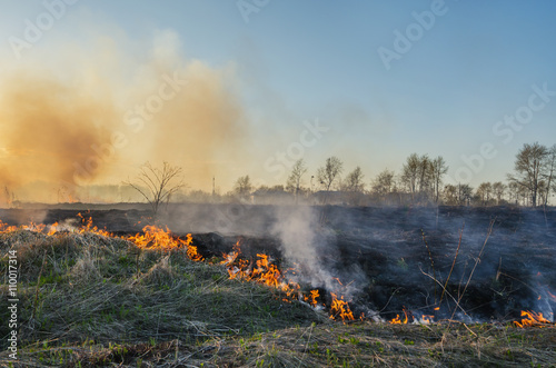 A natural disaster. Fire in nature © Serg_Zavyalov_photo