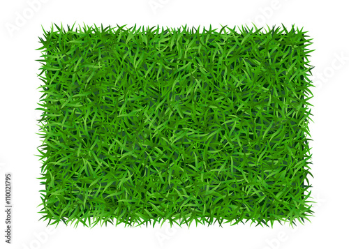 Green grass background. Lawn nature. Abstract field texture. Symbol of summer, plant, eco and natural, growth or fresh. Design for card, banner. Meadow template for print products. Vector Illustration